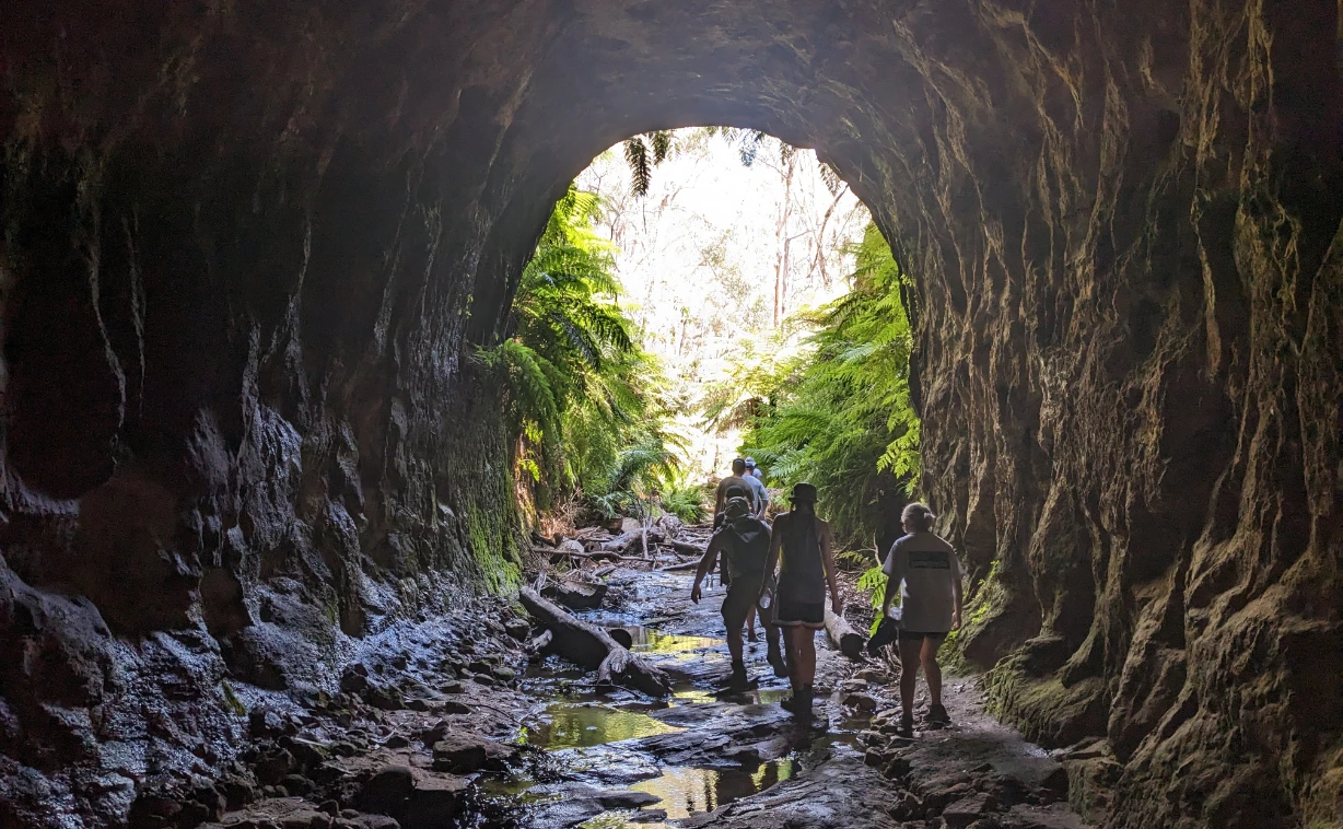 Glow Worm Tunnel